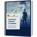 Business Subsidy Planning eBook