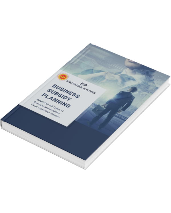 Business Subsidy Planning eBook - Image 2