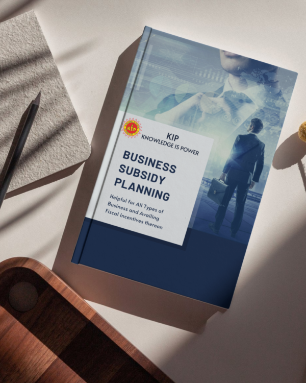 Business Subsidy Planning eBook - Image 3