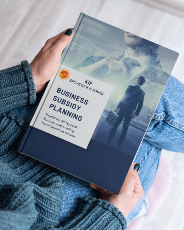 Business Subsidy Planning eBook - Image 4