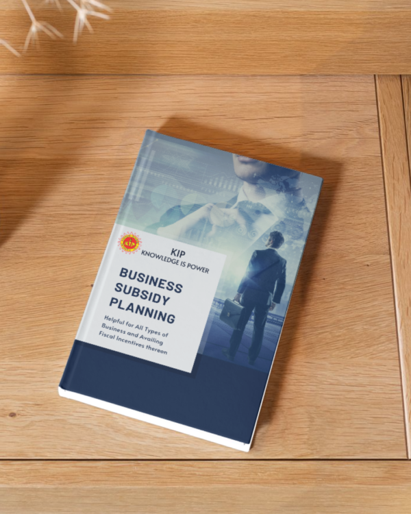 Business Subsidy Planning eBook - Image 5