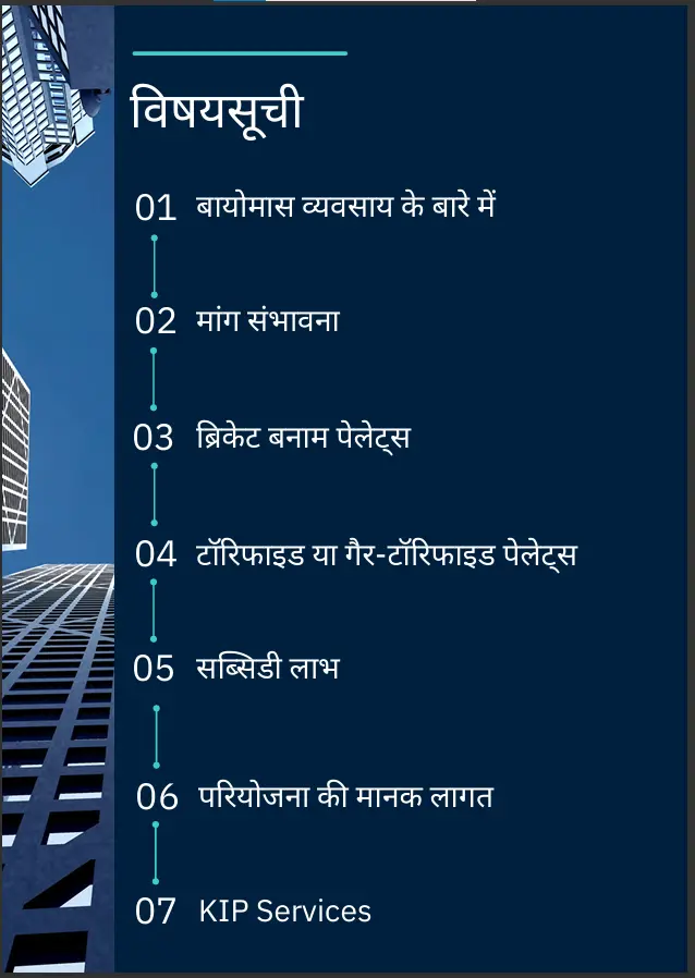 Biomass Briquettes & Pellets eBook Hindi Version - Image 2