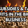 Subsidies & Tax Benefits in the Biomass Business in India