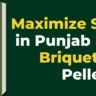 Maximize Subsidies in Punjab Biomass Briquettes & Pellets