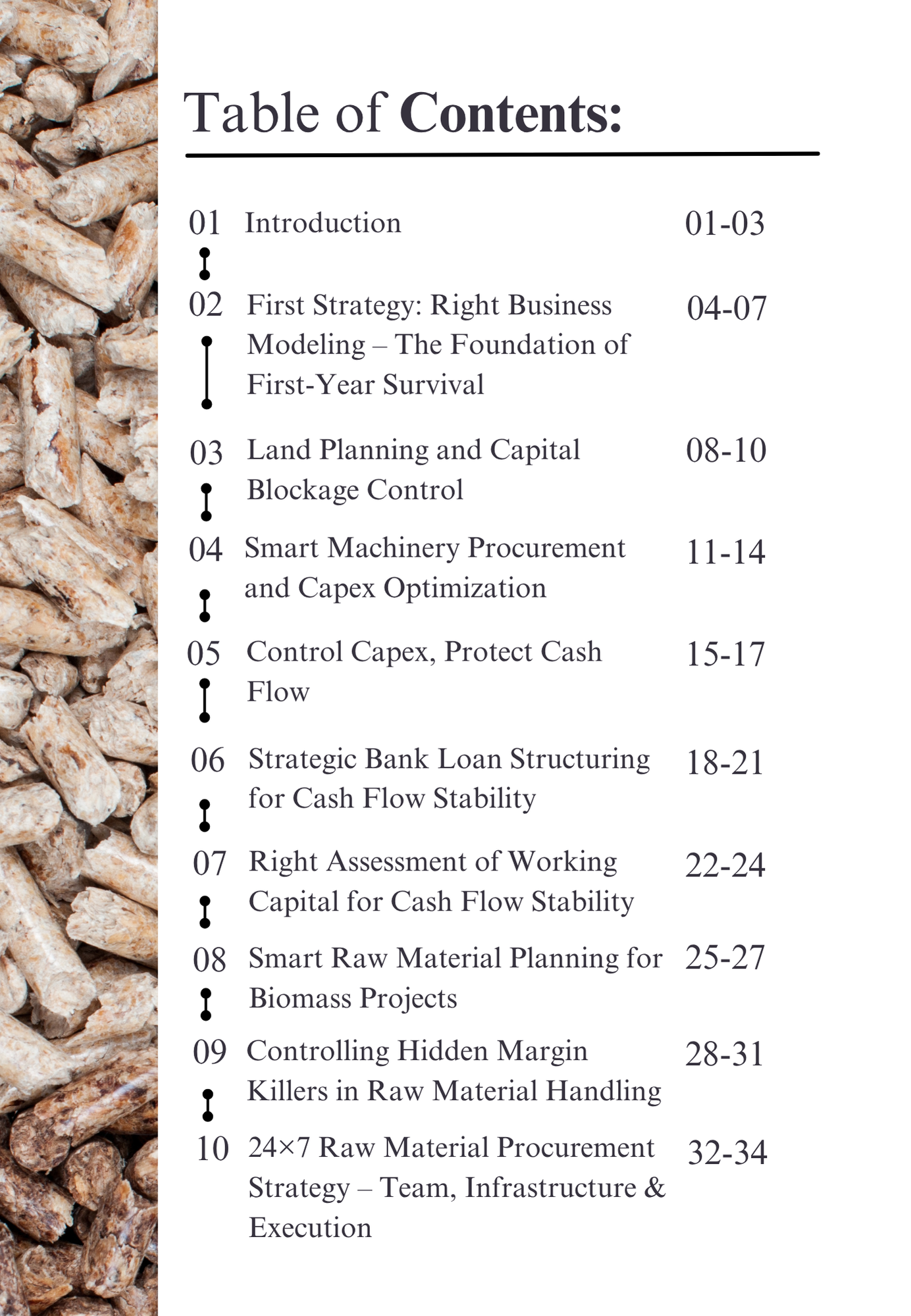 First Year Road-map for Biomass Business (Physical) - Image 2
